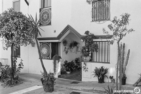 A black and white photograph of a charming entrance to a building, adorned with various plants including cacti and leafy greenery, framed by decorative window grills, creating a welcoming and serene atmosphere.