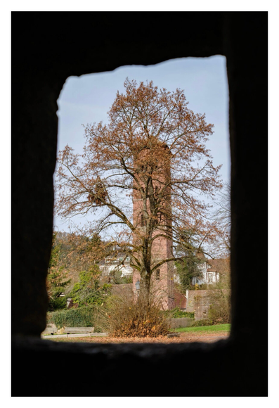 Foto im Hochformat. Blick durch eine Öffnung in einer Mauer von innen nach außen. Das Motiv wird eingerahmt von der schwarzen Silhouette der rechteckigen Öffnung. In einer Entfernung steht ein kahler Herbstbaum, dahinter ist ein hoher Glockenturm. Der Stamm des Baumes ist genau vor dem Turm. Der Himmel ist klar.
