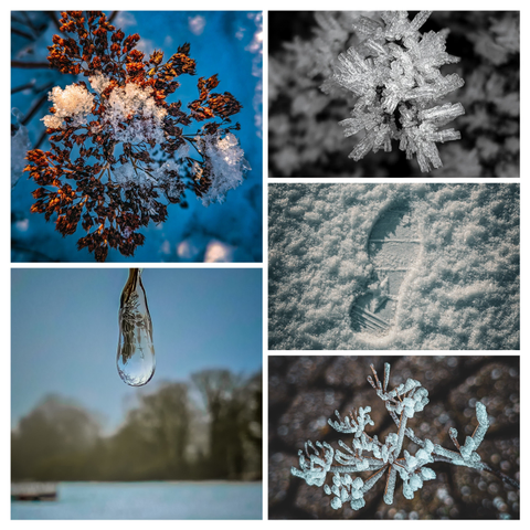 This collage captures the quiet, beauty of winter. The collection focuses on the textures of ice, frost, and snow against natural elements.

Top Left: A cluster of dried, copper-colored seed heads or flower husks is dusted with fresh white snow. 

Top Right: The geometric perfection of hoarfrost. Long, needle-like ice crystals radiate from a central stem, appearing almost like glass shards or architectural structures.

Middle Right: A crisp footprint is pressed into a thick layer of granular snow. The side-lighting creates deep shadows within the tread marks.

Bottom Left: A single, bulbous frozen water droplet hangs from a twig. It acts as a natural lens, refracting the blurred winter landscape of trees and sky behind it. 

Bottom Right: Small, delicate twigs are completely encased in a layer of bumpy rime ice. The background features soft, shimmering circles of light.
