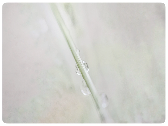 Sanft grau marmorierten, helles Bild. Ein Zweiglein mit Tröpfchen verläuft von unten hoch ins Bild.
Alles zart und ruhig.