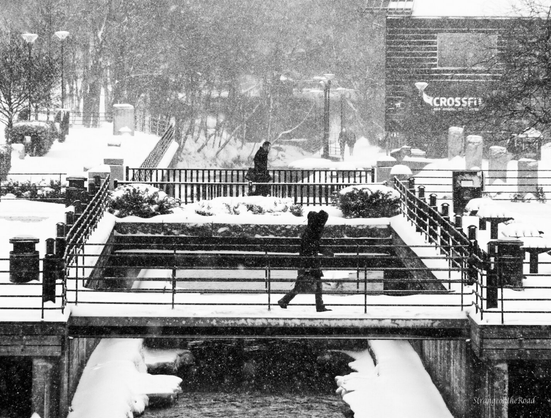 Week Observation 3 (4)