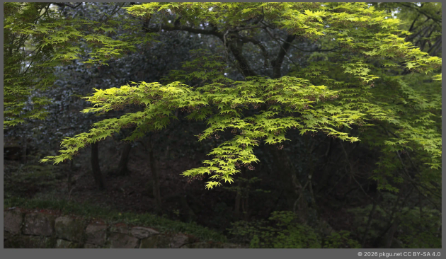 Haenam, Jeollanam-do, Korea.