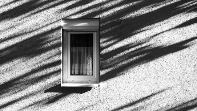 Man sieht ein schmales Fenster mit Gardinen. Auf der Wand sind viele Schatten von Bäumen zu erkennen. Das Foto ist in Schwarzweiß.