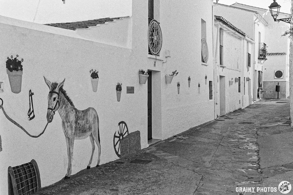 A narrow, cobblestone alleyway features whitewashed buildings adorned with flower pots. A mural of a donkey is painted on the wall, adding charm to the rustic scene, while traditional lanterns illuminate the pathway.