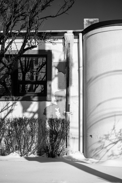 Black-and-white photo of a building exterior: a long icicle hangs from a downspout, bare shrubs and snow at the base, with stark winter shadows across the wall.
