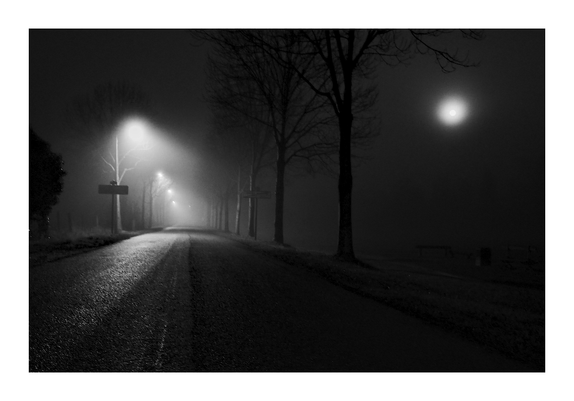 Foggy night light monochrome photography.

Moon breath blurring the substance of the night road setting, starring trees, road lamps and other diaphanous spirits.