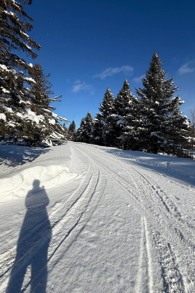 Photograph of a small street completely covered in very white snow, with a few tire tracks, lined with large green spruce trees with snow on their branches, under a very blue sky. The photographer's long shadow is visible in the lower left corner.

Photographie d'une petite rue complètement couverte de neige très blanche, avec quelques traces de pneus, bordée de grandes épinettes vertes avec de la neige sur les branches, sous un ciel très bleu. L'ombre allongée de la photographe est visible dans le coin inférieur gauche.