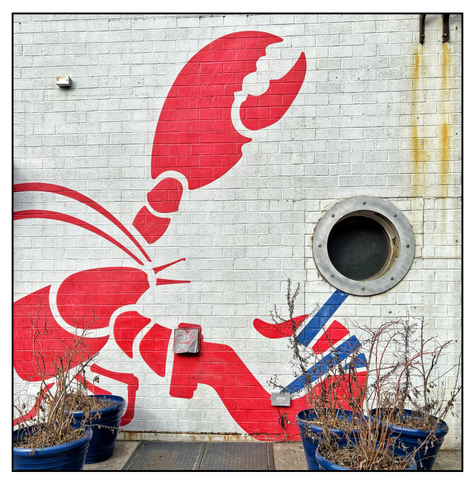 Closeup of the facade of Red Hook Lobster Pound in Brooklyn. A circular window like a ship’s porthole, with a mesh screen and an outer metal ring with rivets, is situated close to the photo’s right edge, in a brick wall painted white. To its left is a giant stylized painting of a red lobster — its left pincer is extended upwards, while its right has been replaced by a large red hook wrapped in a blue strap that connects it to the porthole. A couple of yellowish rust stains streak down the wall from some metal brackets at right frame. Leafless plants sit in large blue flowerpots on the sidewalk in front.