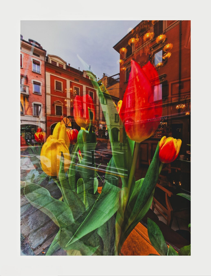 A photo featuring a bouquet of red and yellow tulips in the foreground, inside a café window. The background, which is a reflection of the street, shows stone pavement and multi-story brick buildings. The reflection creates a layered effect, blending the flowers with the cityscape - which looks like a double exposure, but it isn't! The sky above is overcast.