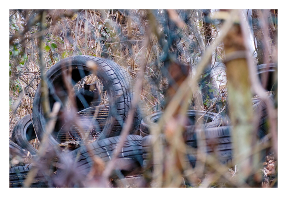 Foto im Querformat. Blick durch unscharfes Gestrüpp. Dahinter sind mehrere alte Autoreifen, die am Boden liegen. Ein Reifen steht aufrecht. Dahinter sitzt eine schwarze Katze, die nach rechts schaut. Hinter der Katze ist mehr Gestrüpp.