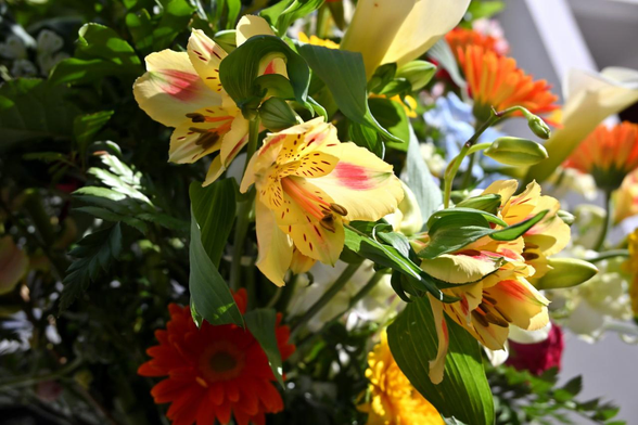 黄色いアルストロメリアがやや下向きに飾られている。回りにはガーベラなど色とりどりの花で飾られているようだ。/ 2026.01.30 高倉小学校周辺から