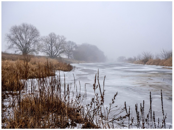 A foggy landscape featuring a partially frozen river surrounded by barren trees and dry grasses. The scene conveys a serene, winter atmosphere.