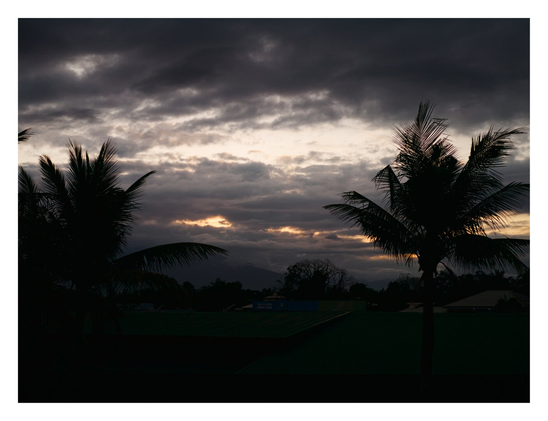 The dark silhouettes of palm trees in the foreground against a dramatic sky filled with heavy, textured clouds. A faint, warm glow of golden light breaks through the cloud cover near the horizon, contrasting with the overall darkness of the scene. The bottom of the frame shows the obscured outlines of rooftops and foliage in deep shadow. - Google Gemini 3 Pro Preview