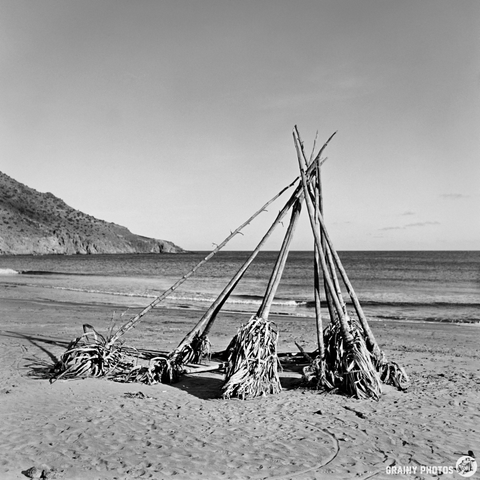 A black and white image of a beach scene featuring a wigwam-like structure made of sticks and dried leaves, positioned near the shoreline. The background shows gentle waves and a distant mountain under a clear sky.