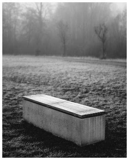 Ein Betonklotz mit Holzlatten drauf dient als Bank auf einer Wiese. Im Hintergrund im Nebel verschwommenes Gebäum.