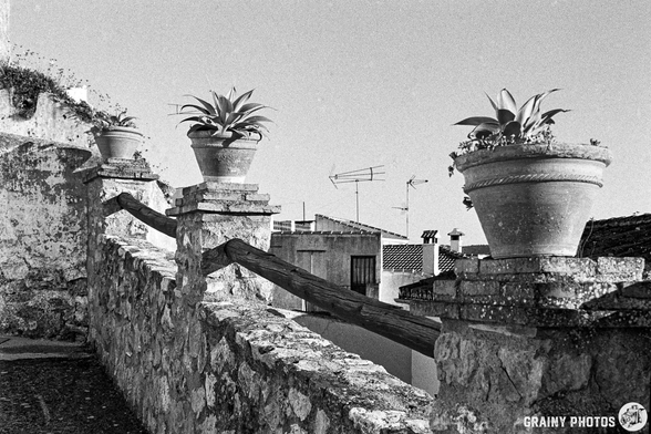 An old stone wall with wooden railings, adorned with potted plants. The scene captured in black and white features a rooftop view of traditional buildings in the background, creating a charming and serene atmosphere.