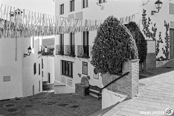 A scenic black and white street view featuring whitewashed buildings adorned with colorful bunting. Lush greenery and decorative trees frame a winding path leading to inviting steps and charming lampposts, creating a warm, picturesque ambiance.