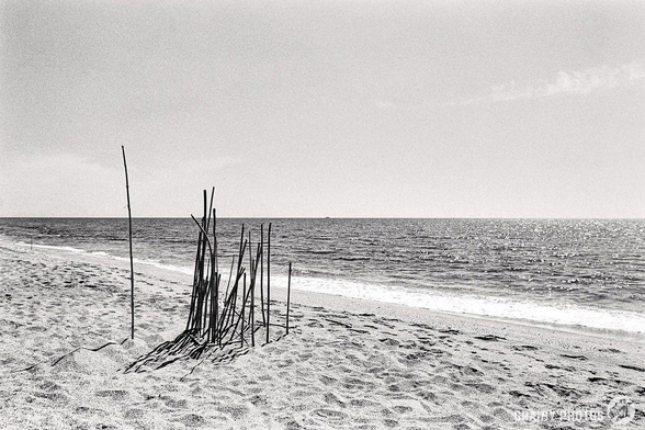 A black and white photo of a beach with bamboo canes planted in the sand near the shoreline evokes a quiet serenity. The sea extends to the horizon under a clear sky.