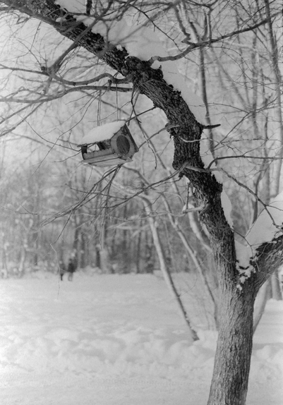 In the black-and-white photo, a bird feeder is hanging on a tree branch. There is snow on the trunk of the tree. In the distance, the figures of people and forests are out of focus.