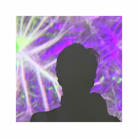 a colorful square image showing an abstract still of one of the projections from the ongoing exhibition "digital by nature" by miguel chevalier in munich. a silhouette of my head is casting a dark shadow on the screen