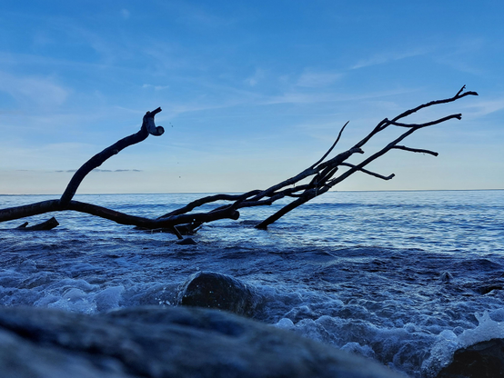 Landscape format.  

Dead branches protrude from the dark blue water on the shore, like black fingers reaching out lonely and sad into nothingness. In the foreground, the surf breaks on big stones smoothed by the water. The wide sky with a few veil clouds is also deep blue. Only a golden streak of light can be seen on the horizon.  
Solitude and tranquillity, in the breath of the elements.