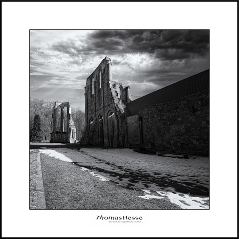 Klosterruine Walkenried