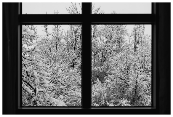 Blick aus einem Fenster auf einige sehr kräftig angeschneite Bäume.