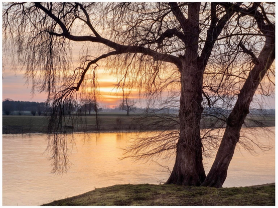 A serene riverside scene at sunset, featuring two large, bare trees silhouetted against a colorful sky. The water reflects hues of orange and pink, with grassy riverbanks and distant trees in the background.