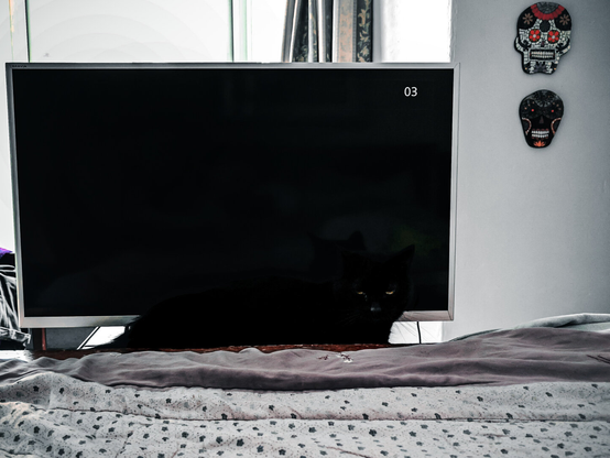 A black cat camouflaged against a black flat-screen television. Only the cat's glowing eyes and a faint outline are visible against the dark screen, which displays a small white "03" in the upper right corner. In the foreground, a patterned grey duvet rests, while two decorative sugar skull masks are mounted on the wall to the right.