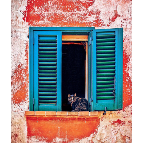 A tortoiseshell cat perches on a windowsill between open blue-green shutters against a roughly textured, orange and white painted wall.