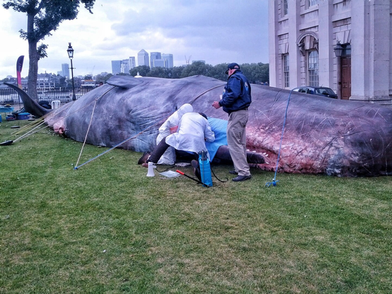 A detailed outdoor art installation of a beached sperm whale, lying on its side on a grassy area. Three individuals, dressed in protective clothing, appear to be working on or inspecting the whale model. The scene is set in an urban environment, with a grand building and modern skyscrapers visible in the background under an overcast sky.
