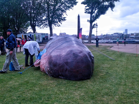 A striking outdoor art installation featuring a life-sized model of a beached sperm whale. The whale is positioned on a grassy area near a pathway, with several onlookers observing the installation. The scene is set in a public space, with trees, lampposts, and an obelisk in the background, along with a view of modern buildings and a river.