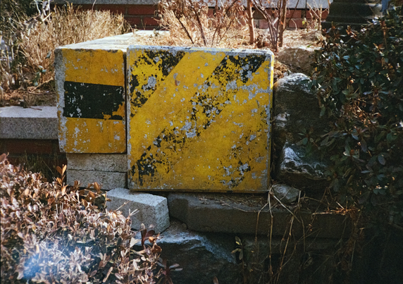 누렇게 색 바란 화단에 노란 바탕에 검은색 페인트를 칠한 정사각형 콘크리트 블럭이 벽을 만들고 있다. 페인트는 풍화되어 이리저리 벗겨졌는데 특히 검은색이 많이 벗겨졌다.