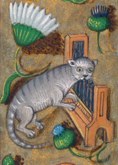 Organ #cat. prayer book, Bruges or Ghent c. 1480-1490. Baltimore, Walters Art Museum, W.438, fol. 161v.
#medieval #MedievalArt