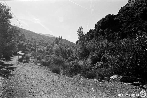 A scenic black and white landscape featuring a winding dirt path surrounded by lush vegetation, set against rolling hills and a clear sky. The tranquil scene evokes a sense of adventure and connection with nature.