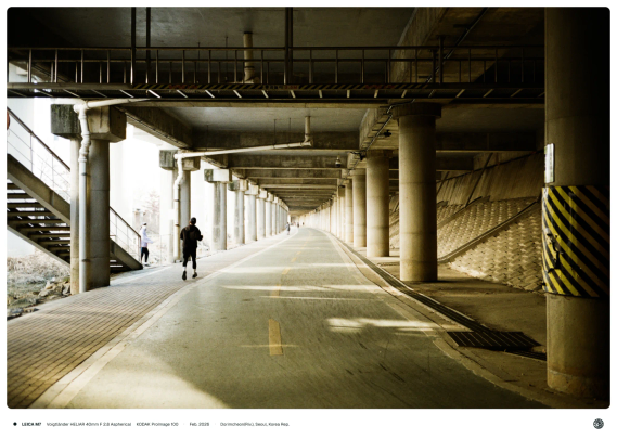 도림천의 고가 아래 산책로. 고가를 지탱하는 기둥이 약간의 곡률 있는 산책로를 따라 끝없이 이어져 있고 사이사이로 햇빛이 드리우고 있음.