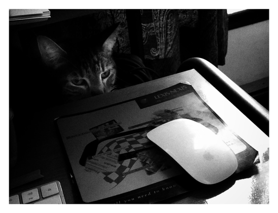 Black and white photo. A wireless computer mouse sits on a mousepad on a computer table. Lurking in the shadows behind the table’s edge is a gray tabby cat (Max, dearly missed) eyeing the mouse intently, getting ready to strike.