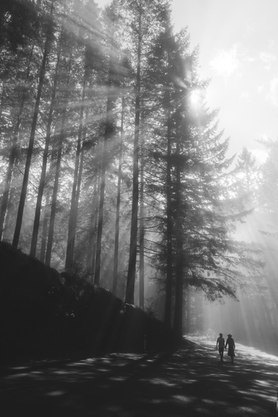 A photo of a couple walking together, lighted by bright sunlight. Trees are visible in the background.
