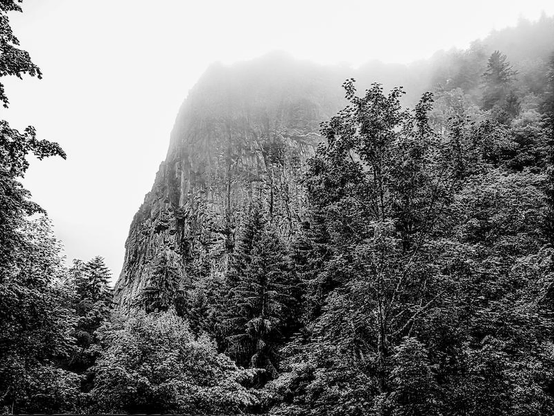 Im Vordergrund und ganz links am Bildrand sieht man Bäume. Dahinter erhebt sich eine sehr hohe Felswand, deren Spitze im Nebel verschwindet. Das Foto ist in Schwarzweiß.