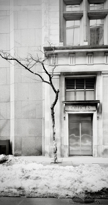 Façade of a stone building. Front door is shiny metal with offices in capital letters above. Some windows are visible on the right hand side, above the door. The centre of the photo is a tree with no leaves and hardly any branches. It’s a Charlie Brown tree if you know what that is. Snow is piled up on the sidewalk and a sewer grate is visible at the edge of the street. Photo is black-and-white.