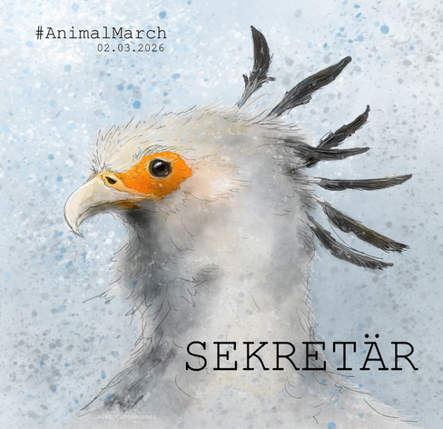 Das Bild zeigt den gemalten Kopf im Profil eines Sekretär-Vogels. Dahinter blau-weiß gespränkelter Hintergrund. In schwarzer Schrift stehen auf dem Bild verteilt folgende Begriffe: #animalMarch 02.03.2026 und Sekretär.