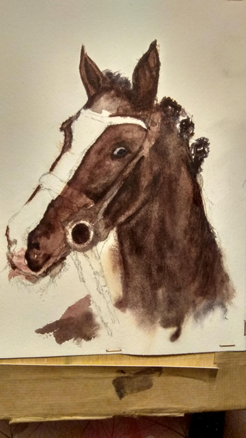 Horse
Watercolor painting 
Cotton paper 
#art #watercolor #painting #horse #mastoArt 
