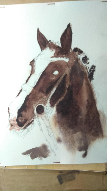Horse
Watercolor painting 
Cotton paper 
#art #watercolor #painting #horse #mastoArt 