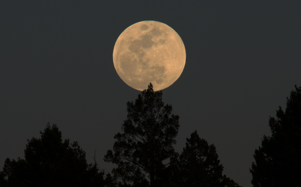 Several minutes later, and the sun has set. The foreground trees are now black silhouettes and the sky is rather dark compared to the moon's face.