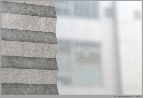 The window of my office.