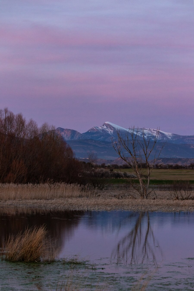 Español: paisaje al atardecer con un lago en primer plano que refleja un árbol desnudo de invierno. Al fondo, una montaña nevada bajo un cielo en tonos rosas y violetas. Cañas secas bordean la orilla en un entorno natural de humedal.

English: Twilight landscape featuring a calm lake reflecting a bare winter tree in the foreground. In the background, a snow-capped mountain rises beneath a sky painted in shades of pink and violet. Dry reeds line the shore in a natural wetland setting.