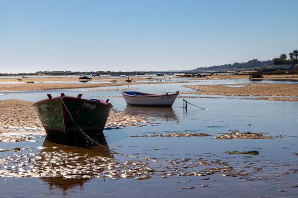 In the foreground on the left, photographed from the front, is a small boat in a thin layer of water. Further to the right, behind that, another boat. Far in the distance, on the horizon, many more boats. It's low tide; there are shallow pools between the dry sandy areas. The sky is blue and reflects in the pools. The sunlight sparkles in the pool of water surrounding the front boat.