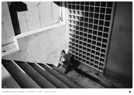 흑백사진. 어느 건물의 반지하로 내려가는 계단 끝에 작은 발판대가 놓여져 있음.