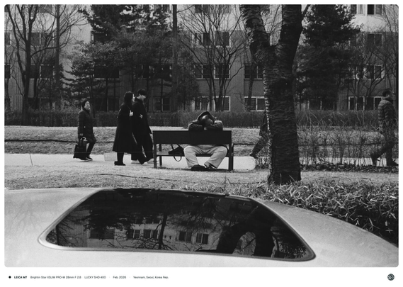 흑백사진. 연남동 공원에서 한 사람이 밴치에 거꾸로 앉아 졸고 있는 모습.