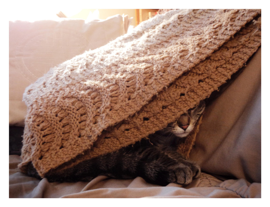 A photo in warm brown tones. An afghan blanket with an intricate knitted pattern is draped over a couch with a loose slipcover. The blanket is stretched tight by a striped gray tabby cat hiding in its folds — his nose, mouth and forepaws visible under the blanket’s edge.